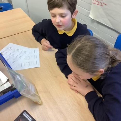 Hever Class Science- digestive system