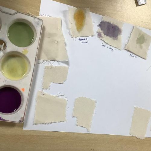 Exploring natural food dye