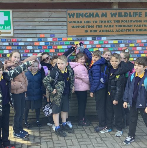 Wingham Trip